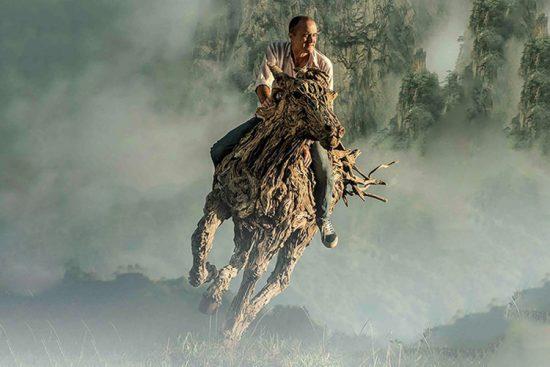 James Doran-Webb : la danse des animaux en bois flotté