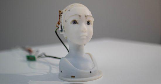 Top 5 des expositions à voir !