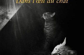 Mélani-Le-Bris-Dans-loeil-du-chat