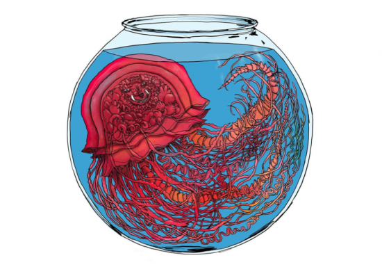 Galerie Artistik Rezo – La playlist de Bault