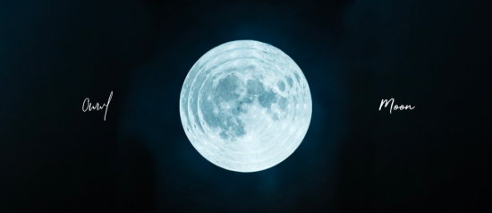 Rencontre avec Owwl, musicien et oiseau de nuit