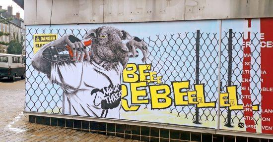 Stéphane Moscato : “Je raconte le monde qui m’entoure, le carnaval perpétuel dans lequel on vit”