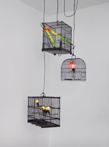 Laurent-Perbos-Canaris-Rouge-gorge-Inséparables-2014-Courtesy-Galerie-Baudoin-Lebon © Bertrand-Hugues-ADAGP-Paris-2020