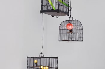 Laurent-Perbos-Canaris-Rouge-gorge-Inséparables-2014-Courtesy-Galerie-Baudoin-Lebon © Bertrand-Hugues-ADAGP-Paris-2020