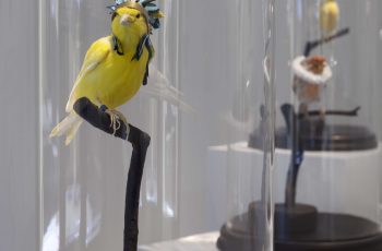 Laurent-Perbos-L'Hoplite et Geronimo-IV-Courtesy-Galerie-Baudoin-Lebon © Bertrand-Hugues-ADAGP-Paris-2020