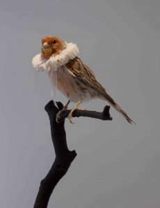 Laurent-Perbos-Le Duc-2018-Courtesy Galerie-Baudoin-Lebon © Bertrand-Hugues