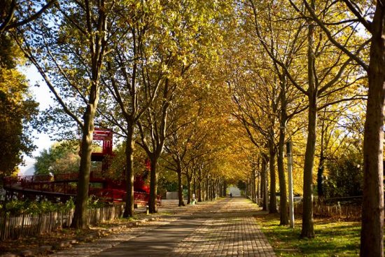Malgré le confinement – En ce moment à La Villette