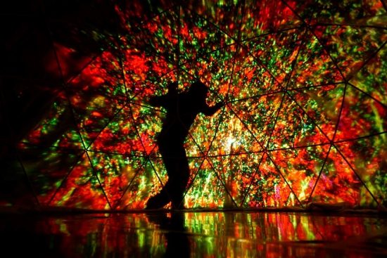 Carole Vergne : “On est heureux de partager ces petits modules d’émerveillement !”