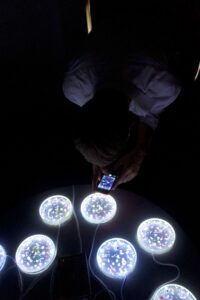 Vue d’exposition, Aquamorphose, Les Petites Maisons (Paris 12), Jonathan Bréchignac, Svalbard Petri, 2018-2020