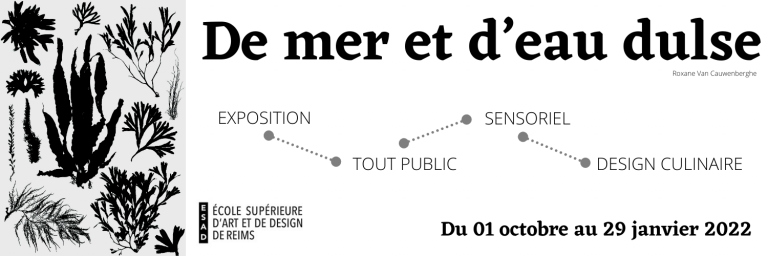 Découvrez “De mer et d’eau dulse”, l’exposition sensorielle à la découverte des algues