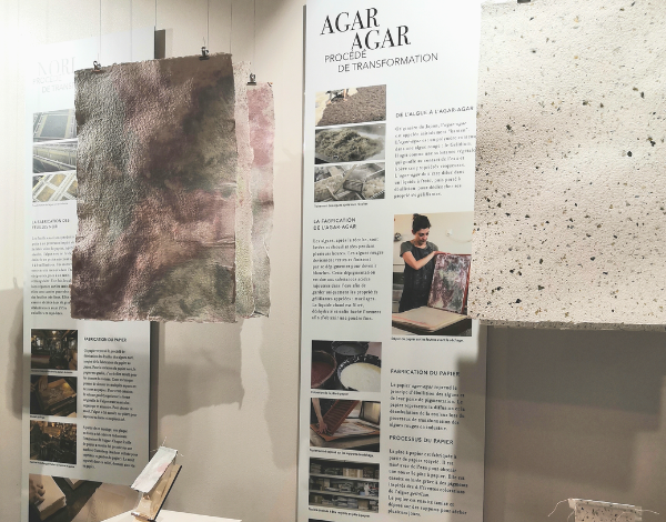 Transformation de l'algue