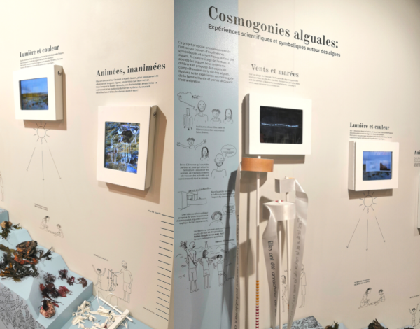 Cosmogonies Alguales