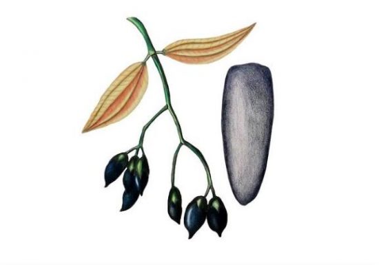 Rencontre avec l’artiste française Hélène Kelhetter