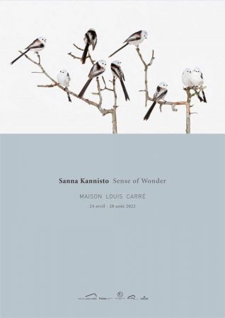 “The Sense of wonder” : une exposition de la photographe finlandaise Sanna Kannisto à la maison Louis Carré