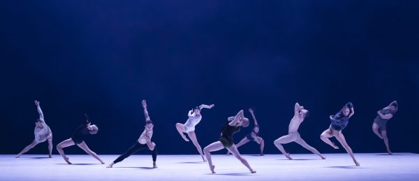 La Sydney Dance Company fait salle comble au Théâtre de Chaillot