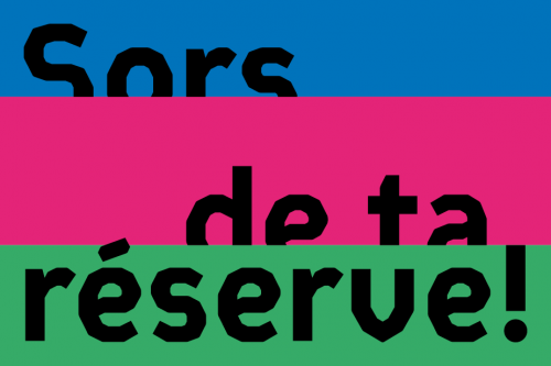 Le premier volet du projet participatif “Sors de ta réserve !” inaugure la réouverture des Réserves à Romainville