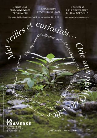 “Merveilles et curiosités… Ode aux plantes des villes” à voir au centre d’art La Traverse à Alfortville