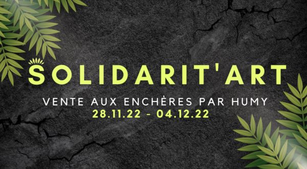 “Solidarit’Art” une vente aux enchères et une exposition de street art pour l’environnement