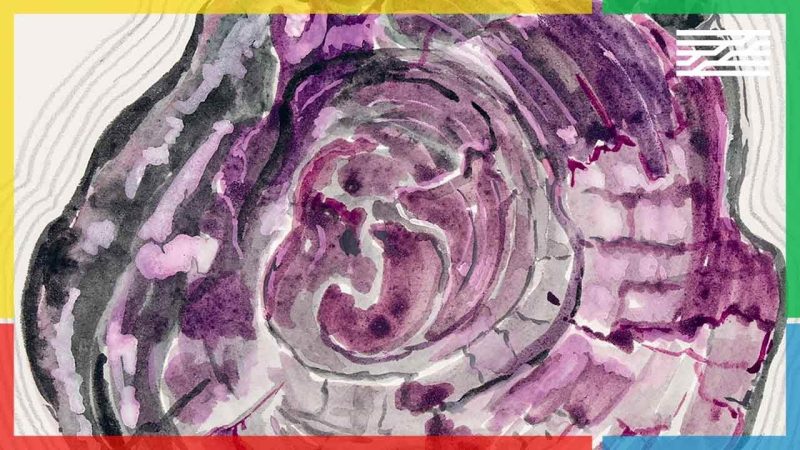 “Dessins” – L’exposition inédite de Giuseppe Penone au Centre Pompidou