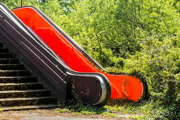 Jonk, l’art au travers de la nature