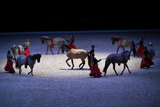 “Noces de crins” : les somptueuses fiançailles de Bartabas à la Villette