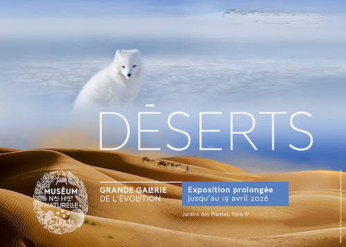 “Déserts” : l’exposition événement du Muséum national d’Histoire naturelle est prolongée jusqu’au 19 avril 2026