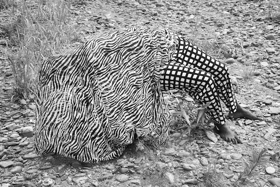 2025-SCAR-01 - Grande