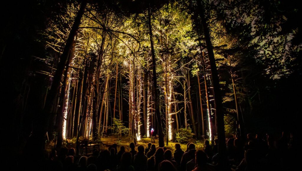 croire-aux-fauves-Les arts oseurs © kalimba