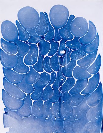 “Tamam !” : les œuvres sur papier de Turabi Yazar et Antoine de Vilmorin s’exposent à la Galerie Eberwein