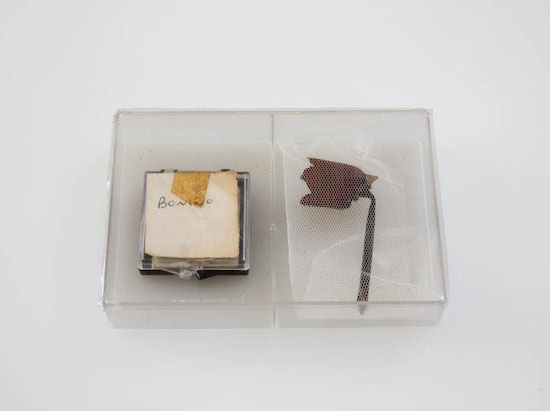 Beatrice Bonino, Senza titolo, 2023, moiré, nylon, plastique, verre, 34 x 40,5 cm.Courtesy de l’artiste, de Ermes Ermes et de Bonner Kunstverein. Photo : Mareike Tocha.
