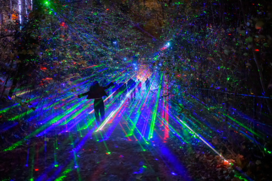 Festival de Lumières en Seine 2026 : des illuminations pour les petits et grands enfants !