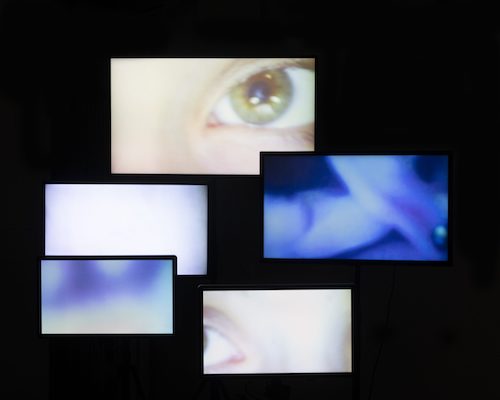 Désirer la violence : du fantasme à la reconstruction de soi