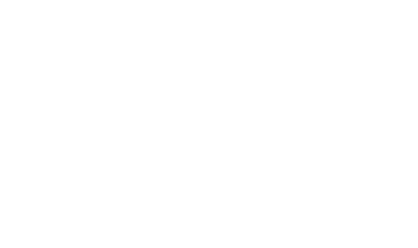 Nicolas Laugero Lasserre