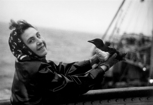 “Les Traversées d’Anita Conti, entre documentaire et poésie” : une exposition photographique à voir au Quai de la Photo