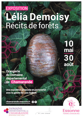 “Récits de forêts” : une exposition de Lélia Demoisy à découvrir cet été au Domaine de Chamarande